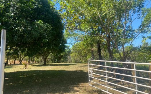 Land for sale in Orotina- Mixed Use