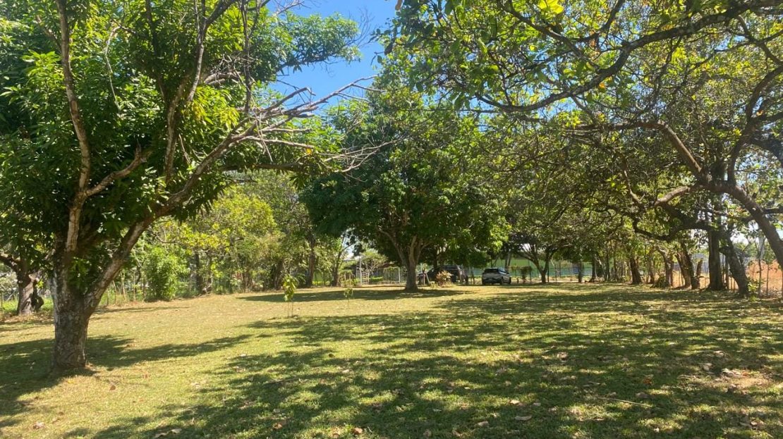 Orotina For Sale 24759 | RE/MAX Costa Rica Real Estate