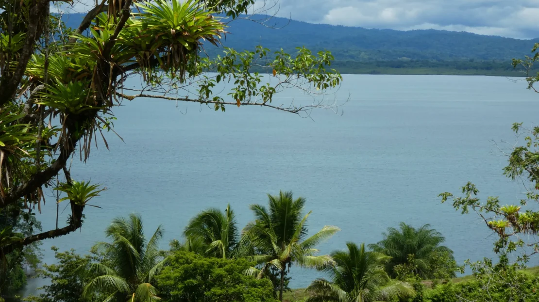 Osa Real Estate Listings 29998