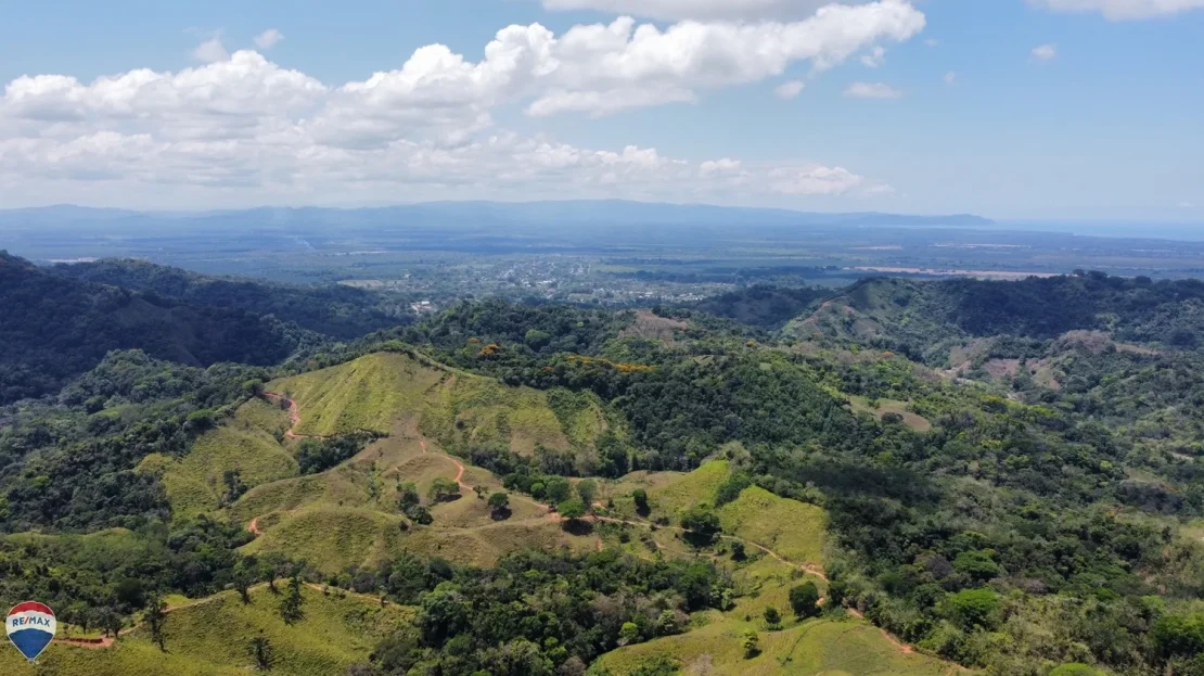 Osa>Puerto Cortes Real Estate Listings 29925