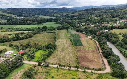Unleash Your Potential: beautiful Flat land for sale in the heart of Pérez Zeledón.