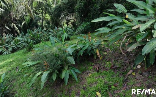 Private Nature Sanctuary