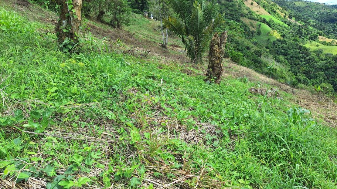 Costa Rica Real Estate