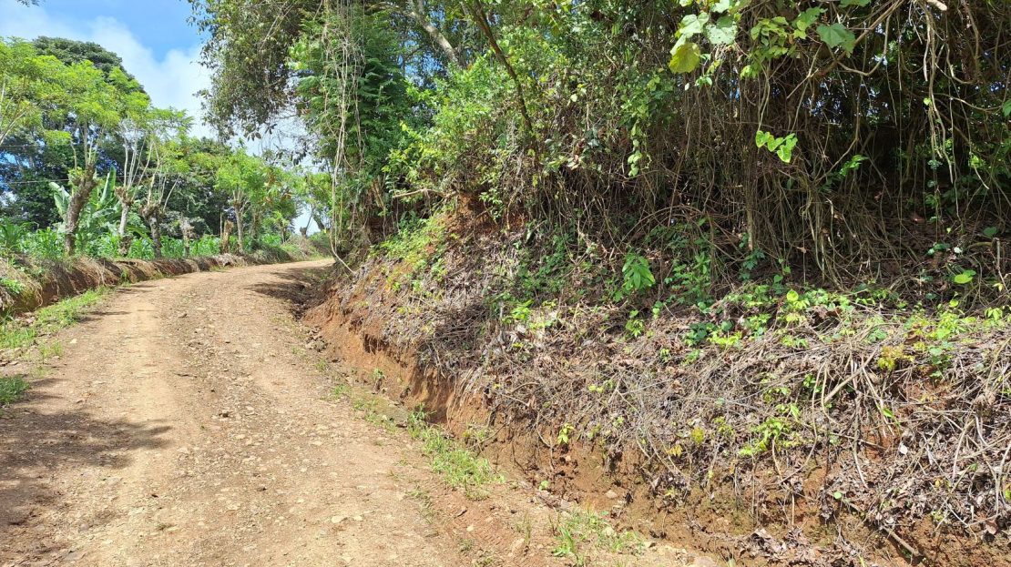 Exceptional Price Call Now