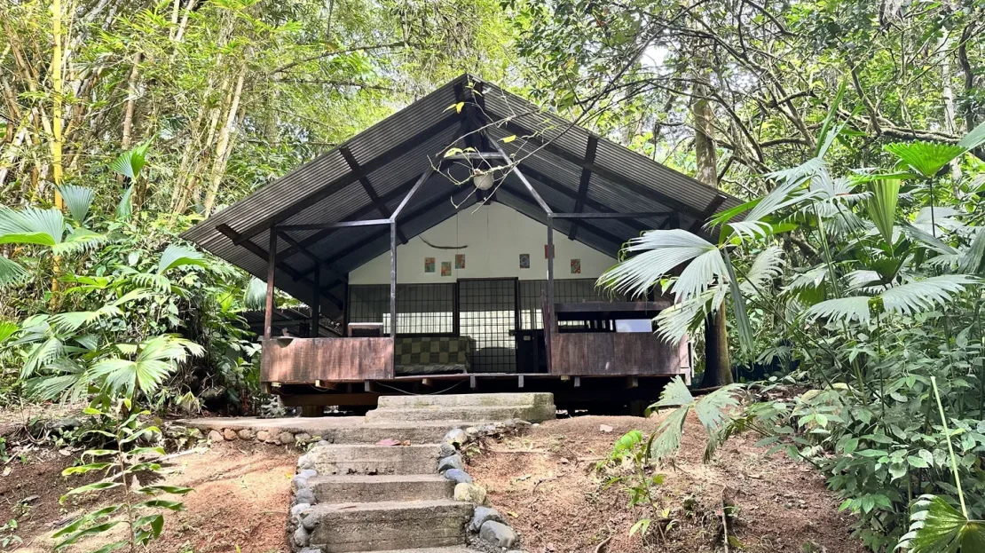 Puerto Jiménez Real Estate Listings 29893