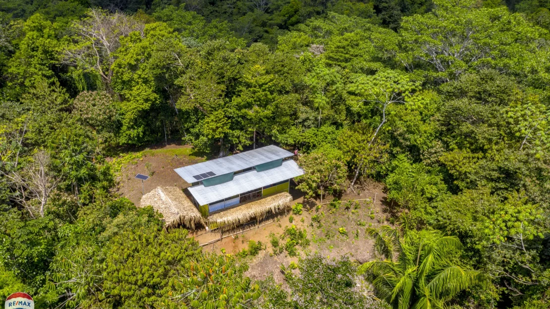 Puerto Jiménez Real Estate Listings 29950