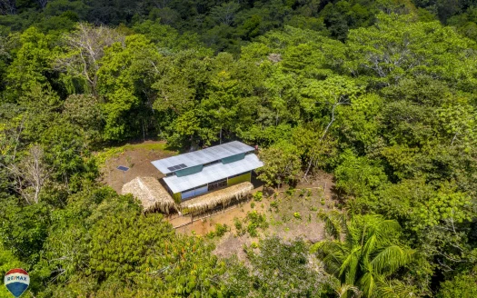 Puerto Jiménez Real Estate Listings 29950