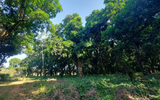 San Mateo For Sale 23604 | RE/MAX Costa Rica Real Estate