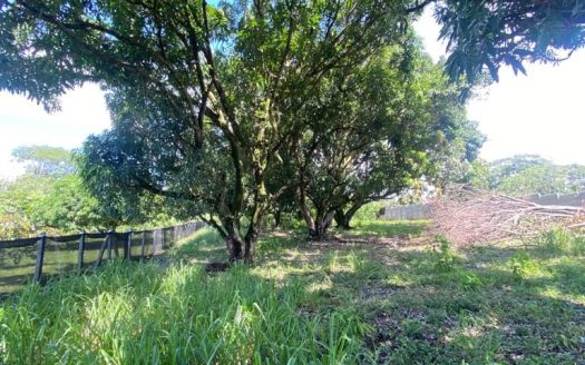 Tarcoles For Sale 20142 | RE/MAX Costa Rica Real Estate