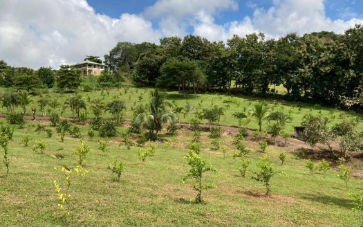 SPECTACULAR ESTATE FOR SALE