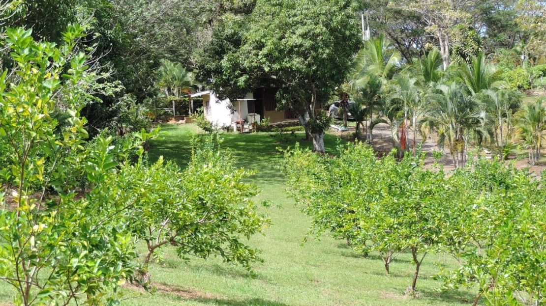 Tarcoles For Sale 23141 | RE/MAX Costa Rica Real Estate