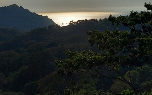 Tarcoles For Sale 24601 | RE/MAX Costa Rica Real Estate