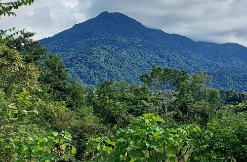 Turrubares For Sale 24522 | RE/MAX Costa Rica Real Estate