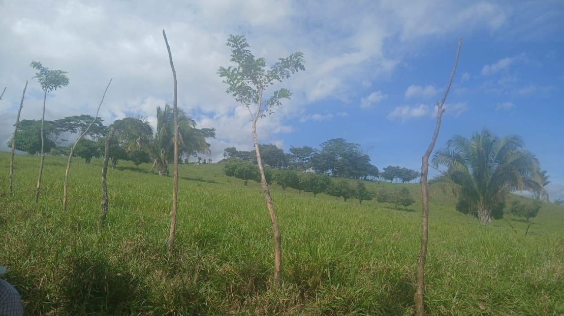 Costa Rica Real Estate