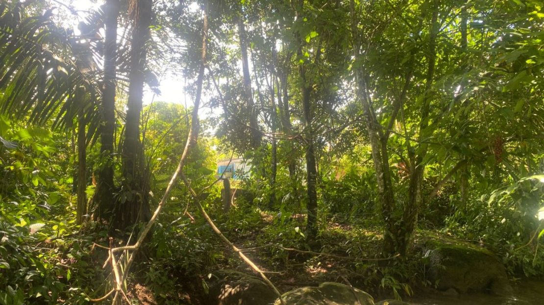 Costa Rica Real Estate