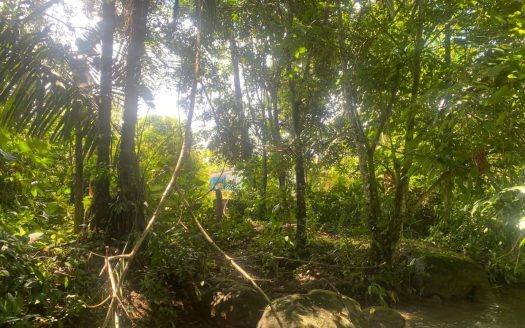 BEAUTIFUL LOT FOR SALE 1,058 M² IN THE HEART SAN PEDRO, PÉREZ ZELEDÓN