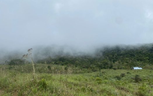 Beautiful 50-Hectare Farm in Biolley, Puntarenas – Near La Amistad Park