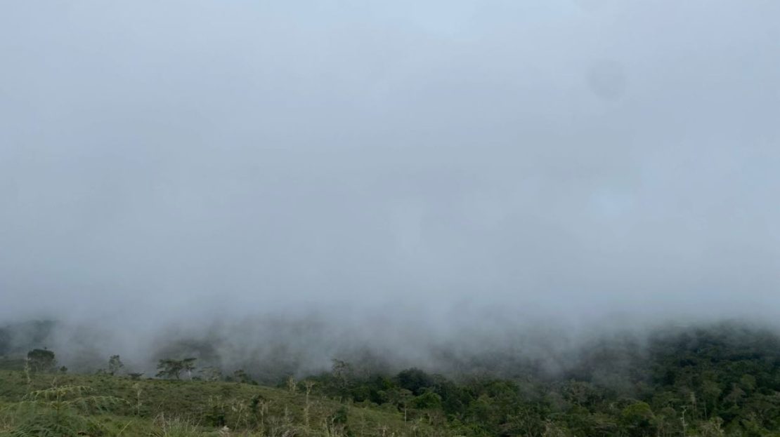 Beautiful 50-Hectare Farm in Biolley