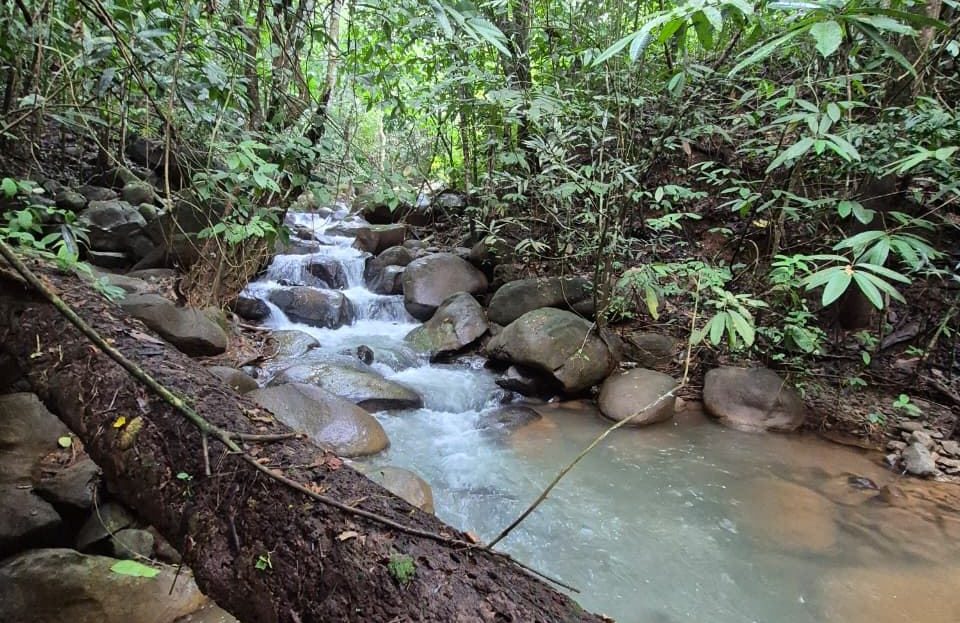 Costa Rica Real Estate