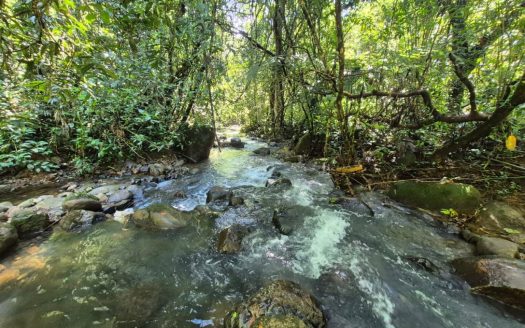 Beautiful 10+ hectare farm in the heart of Quizarrá, top location