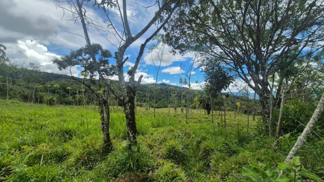 Pérez Zeledón – Pasture Land with Views