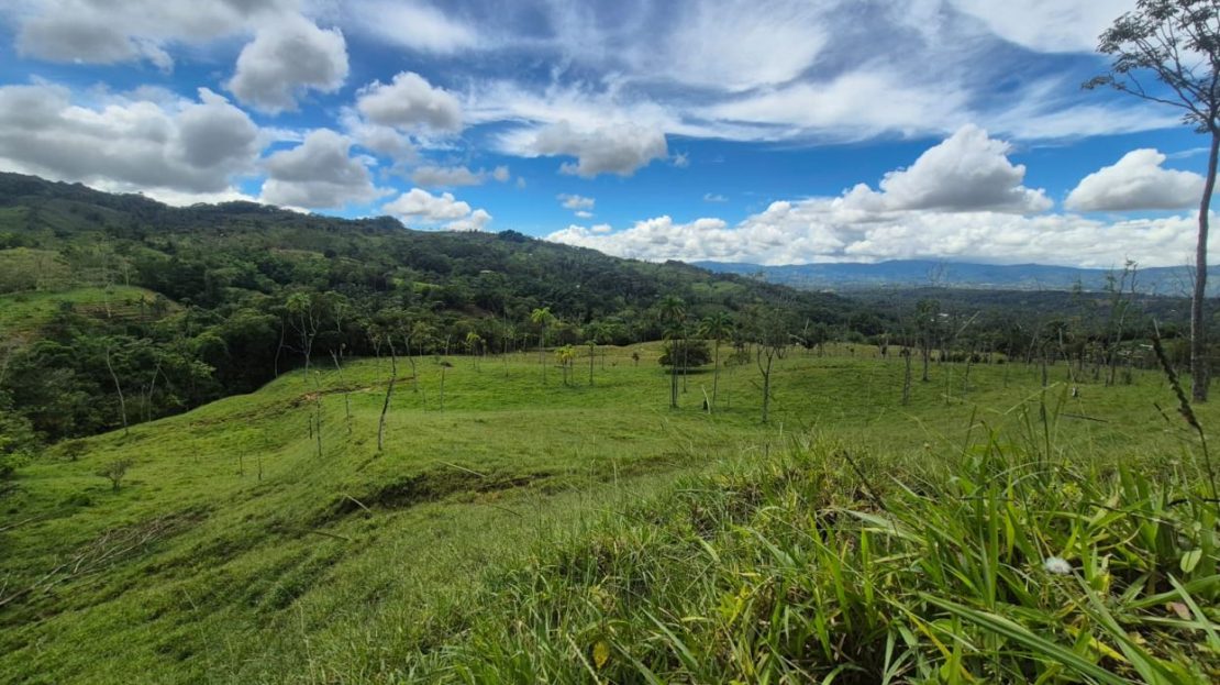 5.12 Hectares for Sale in Miraflores