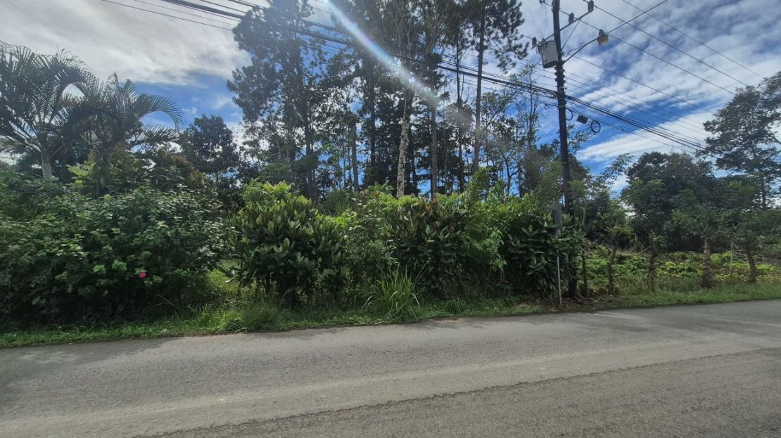 Costa Rica Real Estate