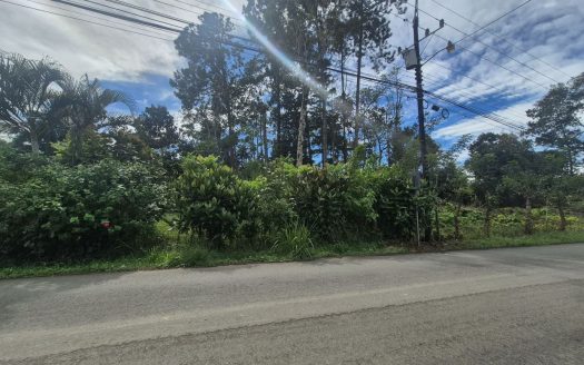 Prime 1+ Acre Flat Property with Creek in Miraflores, Pérez Zeledón