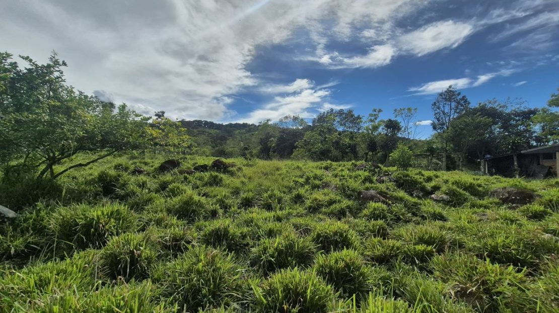 Costa Rica Real Estate