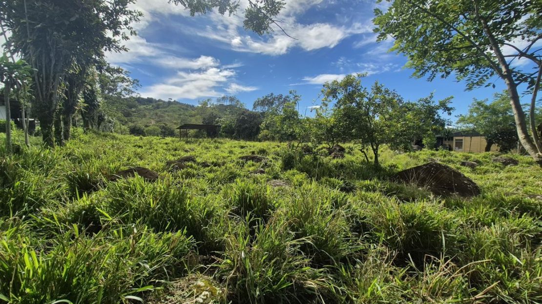 Prime 2+ Acre Flat Property on Paved Road in Miraflores