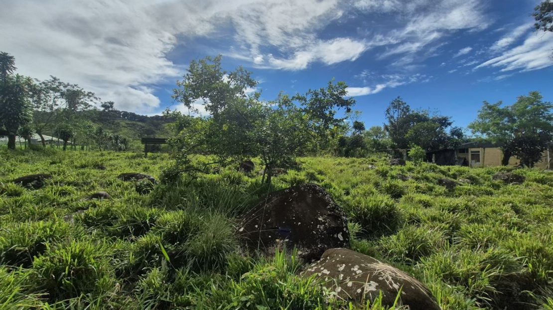 Costa Rica Real Estate