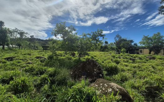 Premium 9.21 Hectare Pasture for Sale in Miraflores, Pérez Zeledón – Flat Land, River Front & Exceptional Road Frontage