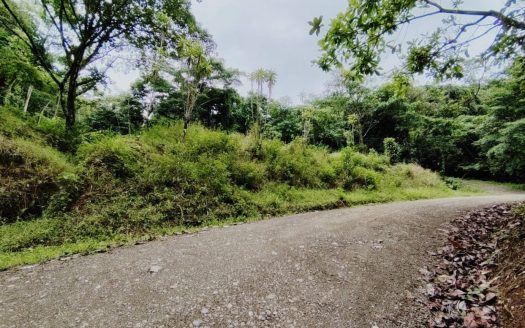 For Sale: 7,482 M² In Osa Peninsula | Forested Land With Creek Near Beaches & Services