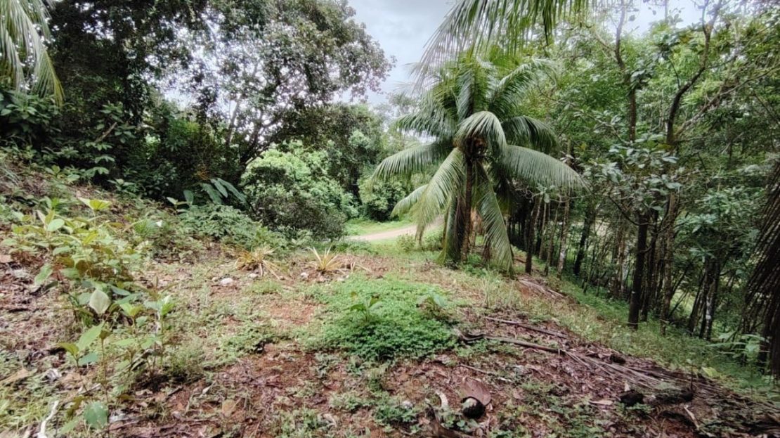 Costa Rica Real Estate