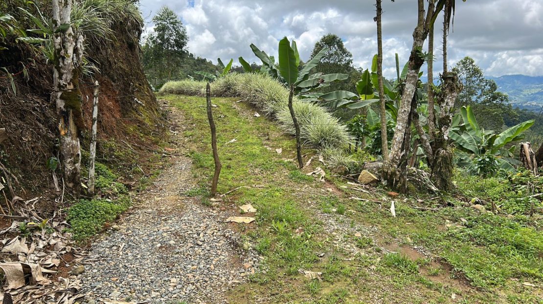 Beautiful Coffee Lot For Sale In The Heart Of la ESE