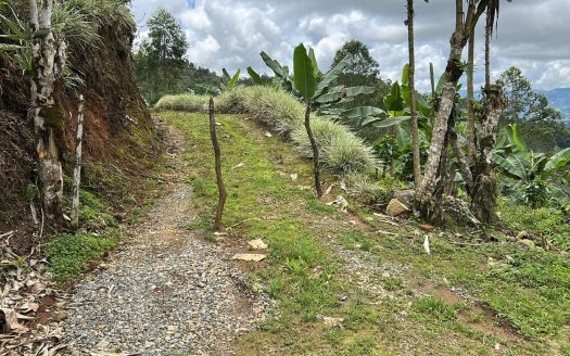 Beautiful Coffee Lot For Sale In The Heart Of la ESE, Pérez Zeledón