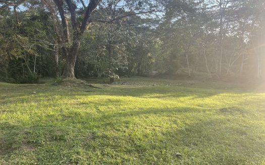 Dream river opportunity