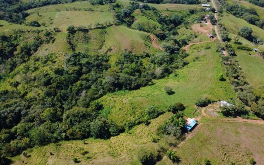 Beautiful Farm for Sale in Puntarenas Costa Rica – 8-Hectare Property