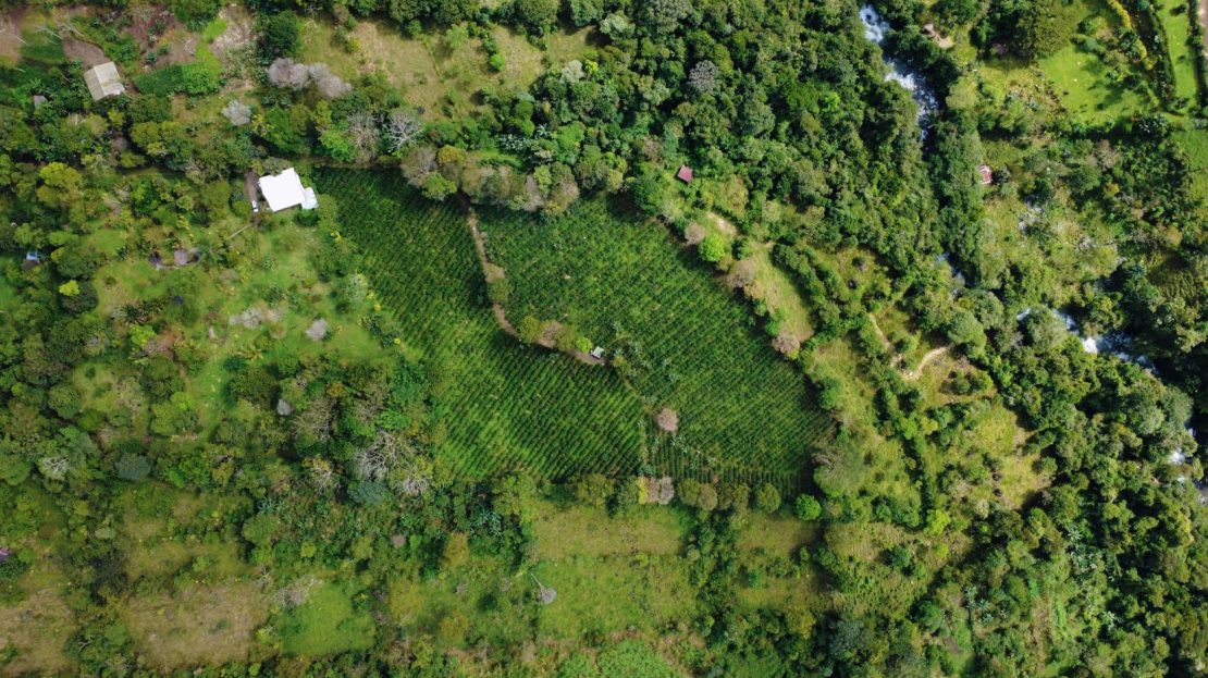 Costa Rica Real Estate