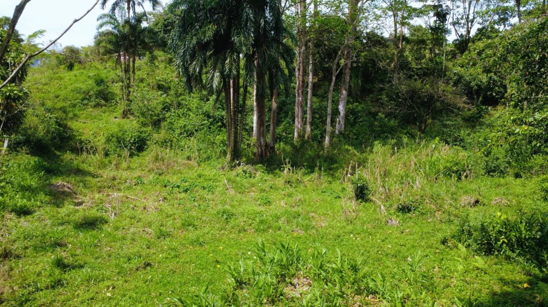 667M² LOT IN MIRAFLORES