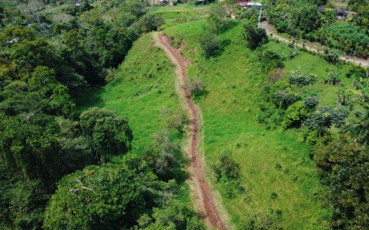 Land for Sale: 20,000 m² in Miraflores, Pérez Zeledón