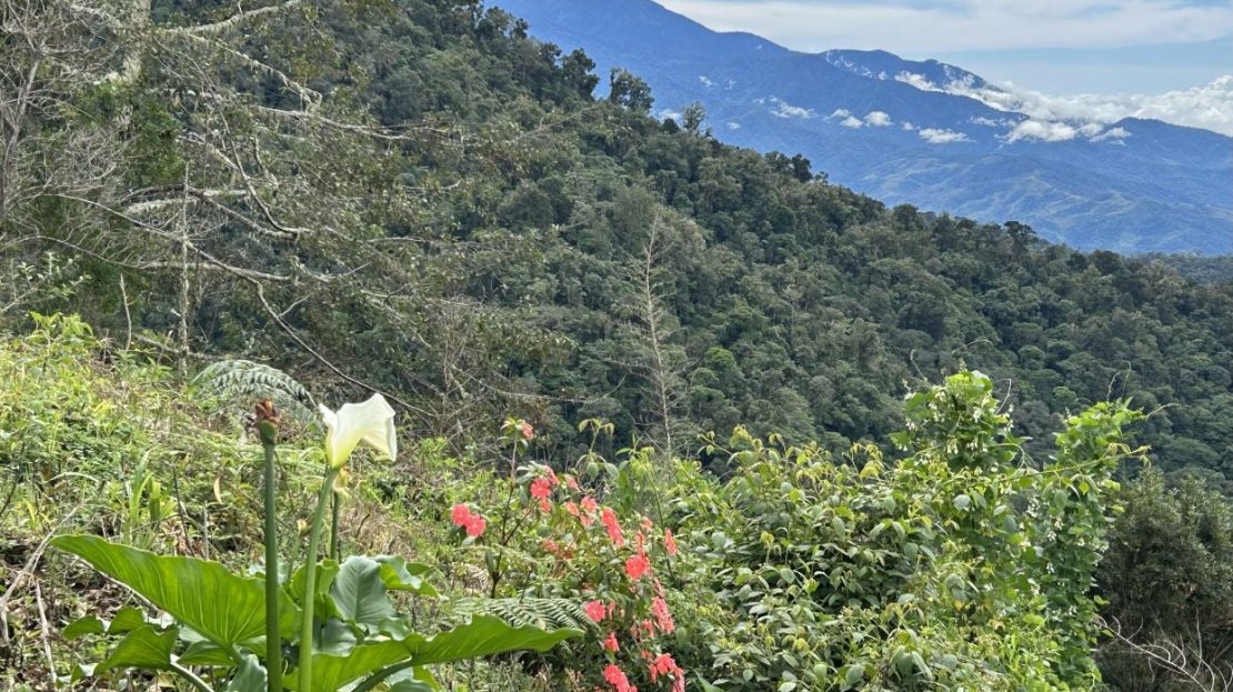 Perfect Mountain Lot for sale Awaits in División de Páramo