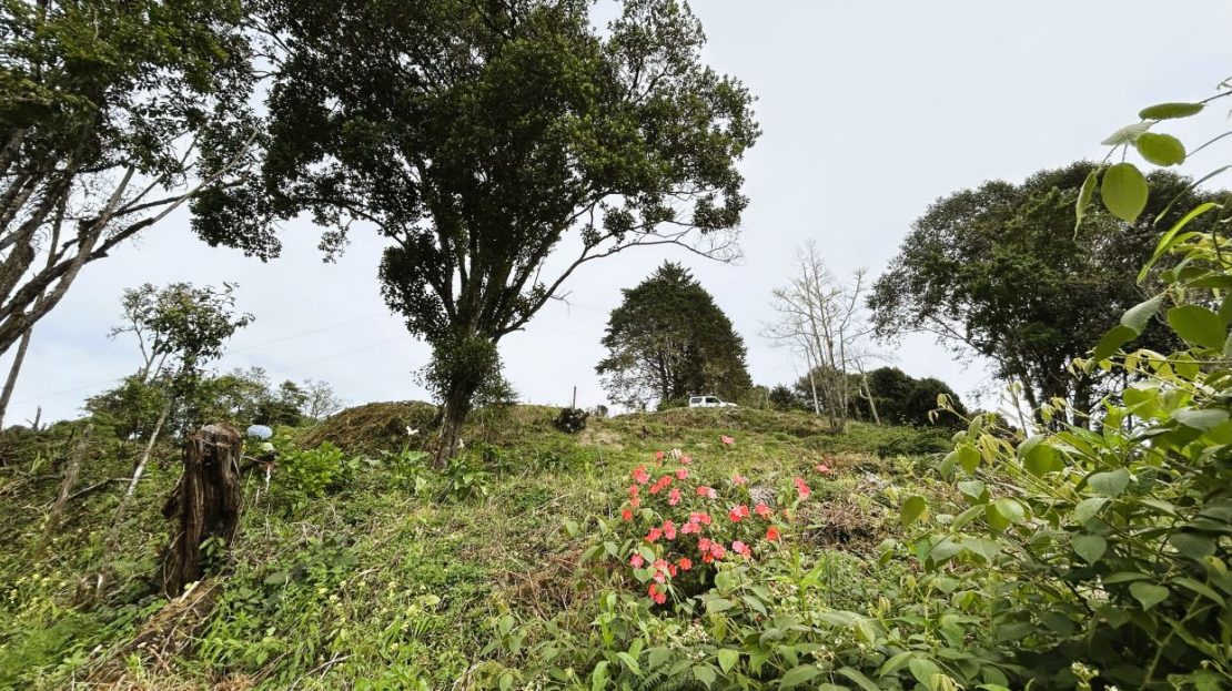 Excellent opportunity: beautiful sloping land for sale in the heart of División.