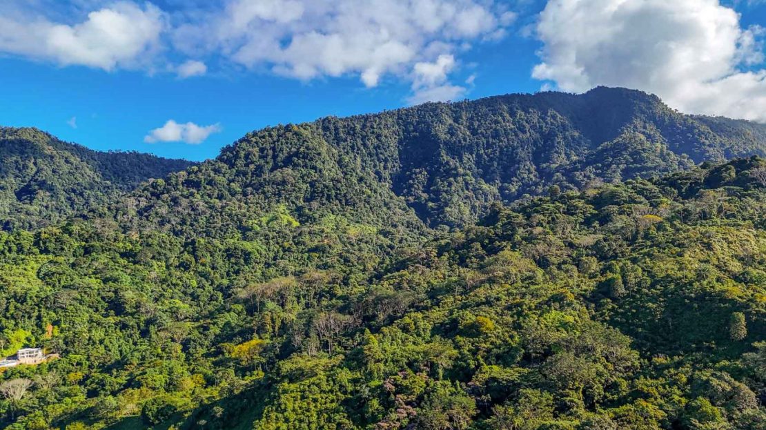 Jungle & Mountain View Home in Ojochal | Protected Jungle Setting