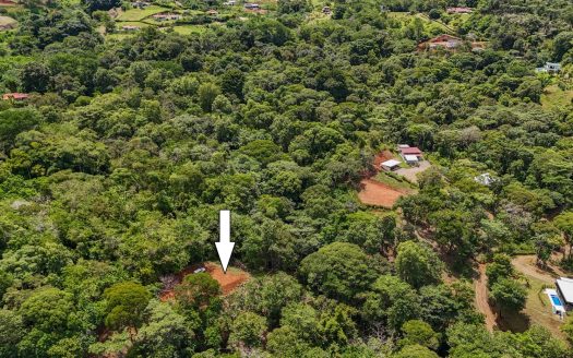 1.6 Acre Jungle and Creek Lot in Gated Community in Ojochal