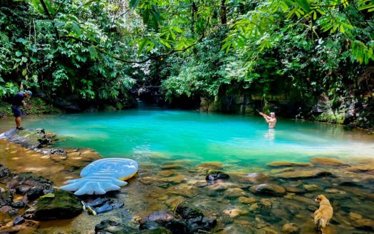 1 Bedroom Jungle River Retreat Home And Prime Space to Build Your Main House