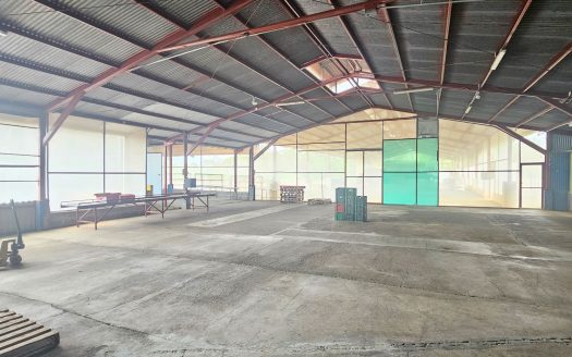 Strategic Investment Opportunity – Large-Scale Agricultural Property with Industrial Packing Facility in Zona Fluca