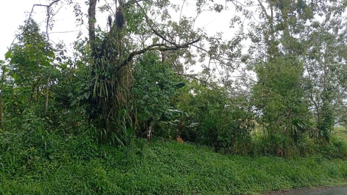 Volcano View Lot w Spectacular Views of Fortuna in highlands of Monterey. Slightly cooler climate.!