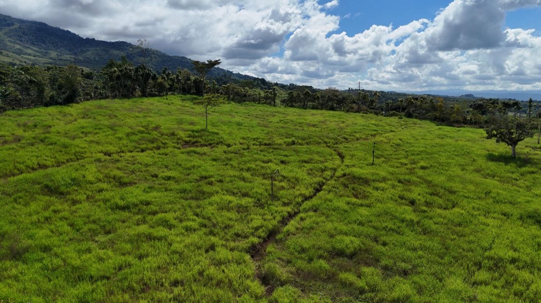 Exclusive Lot for Sale