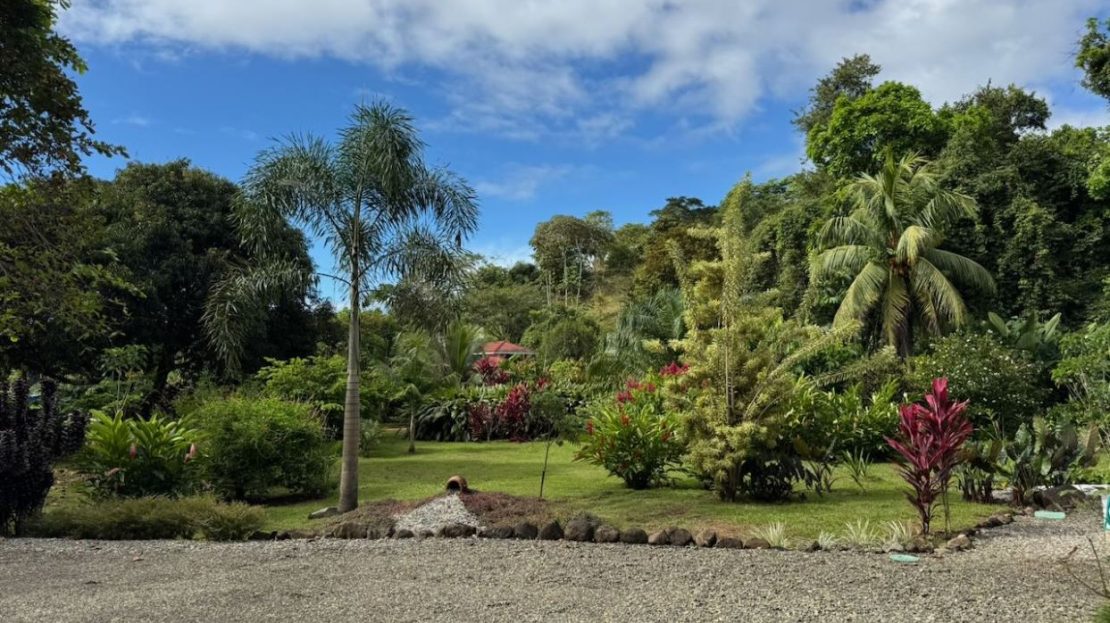 House and property for sale in the heart of Ojochal with 2.93 Hectares and Development potential.